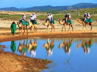 Combo: ATV + paseo en camello en Migriño — 8
