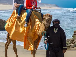Paseo en camello y safari en el desierto — 4
