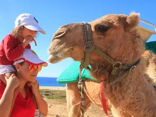 Paseo en camello y safari en el desierto — 6