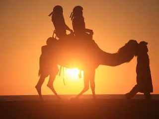 Paseo en camello y safari en el desierto — 7