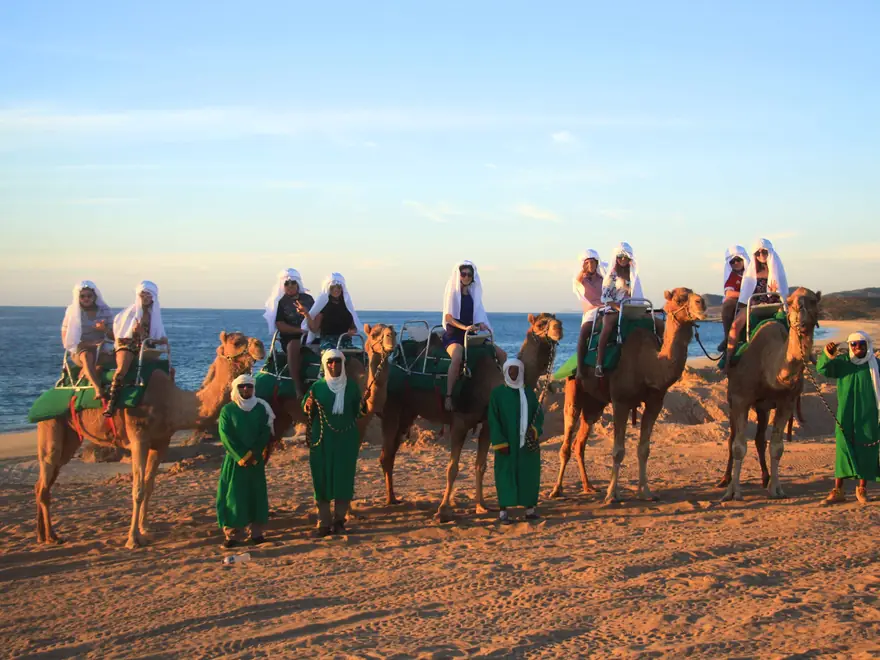 Paseo en camello y safari en el desierto