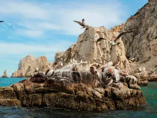 Playa del Amor y El Arco en barco de fondo de cristal — 4