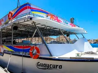 Snorkel en El Arco y Bahía Santa María — 5